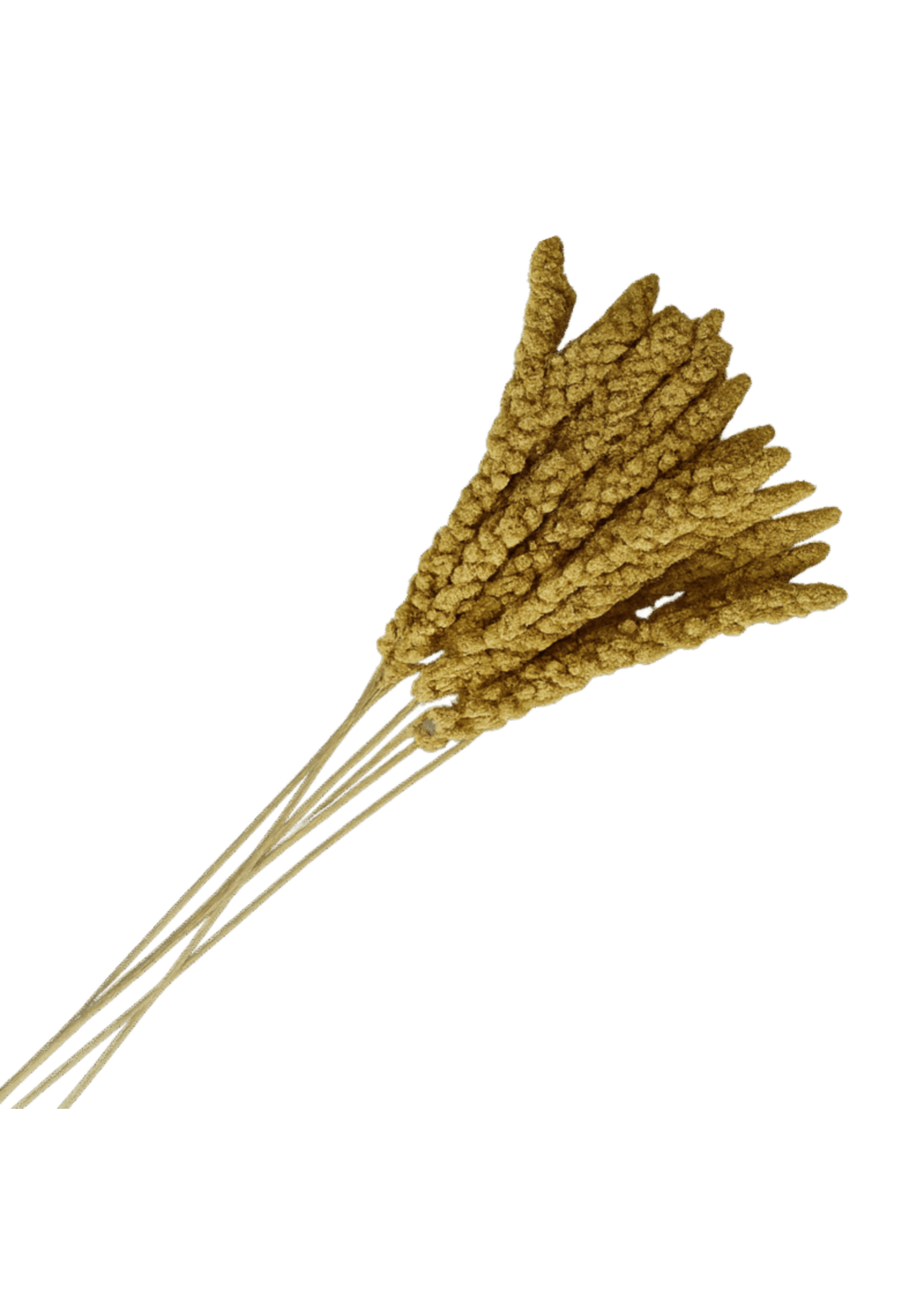 Maska Select Millet en grappe | Gâterie pour oiseaux | Maska Select