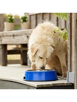 Farm Innovators Bol chauffant 5,2 litres  avec couverture en acier inoxydable