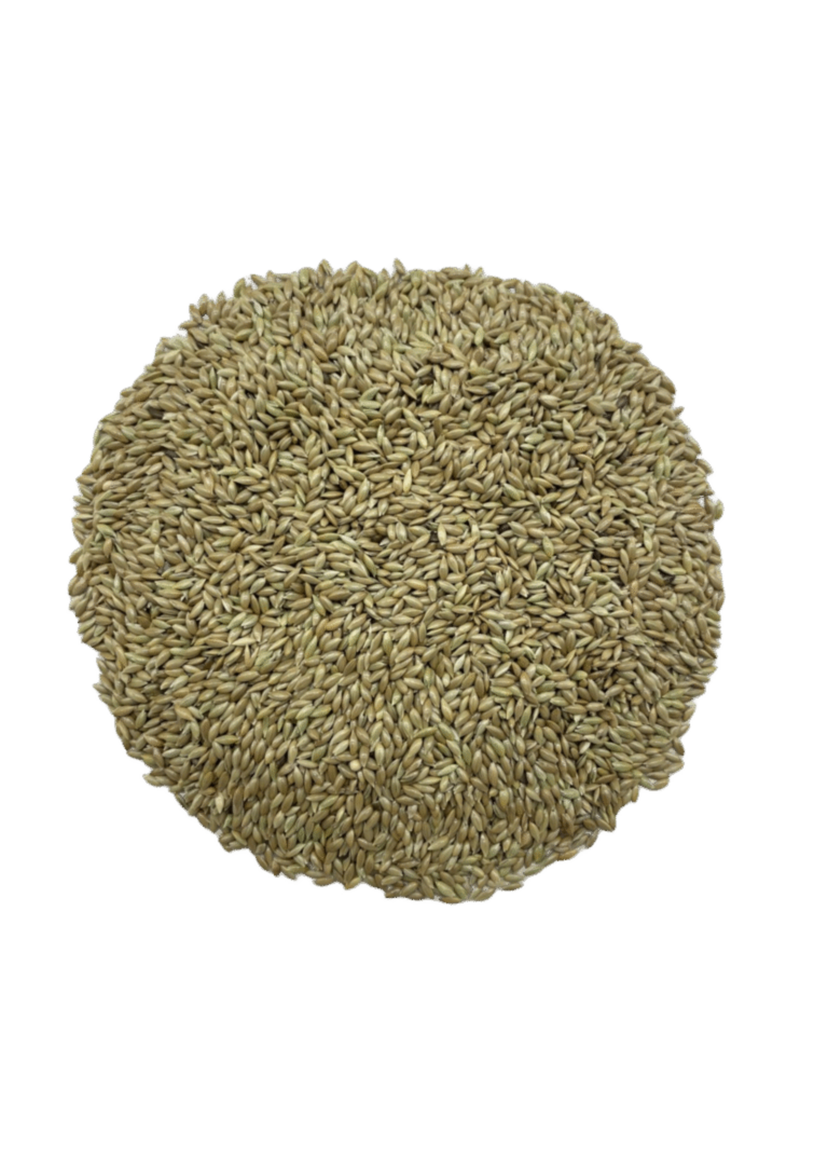 Maska Select Alpiste | Grain unique | Maska Select, 2 Kg
