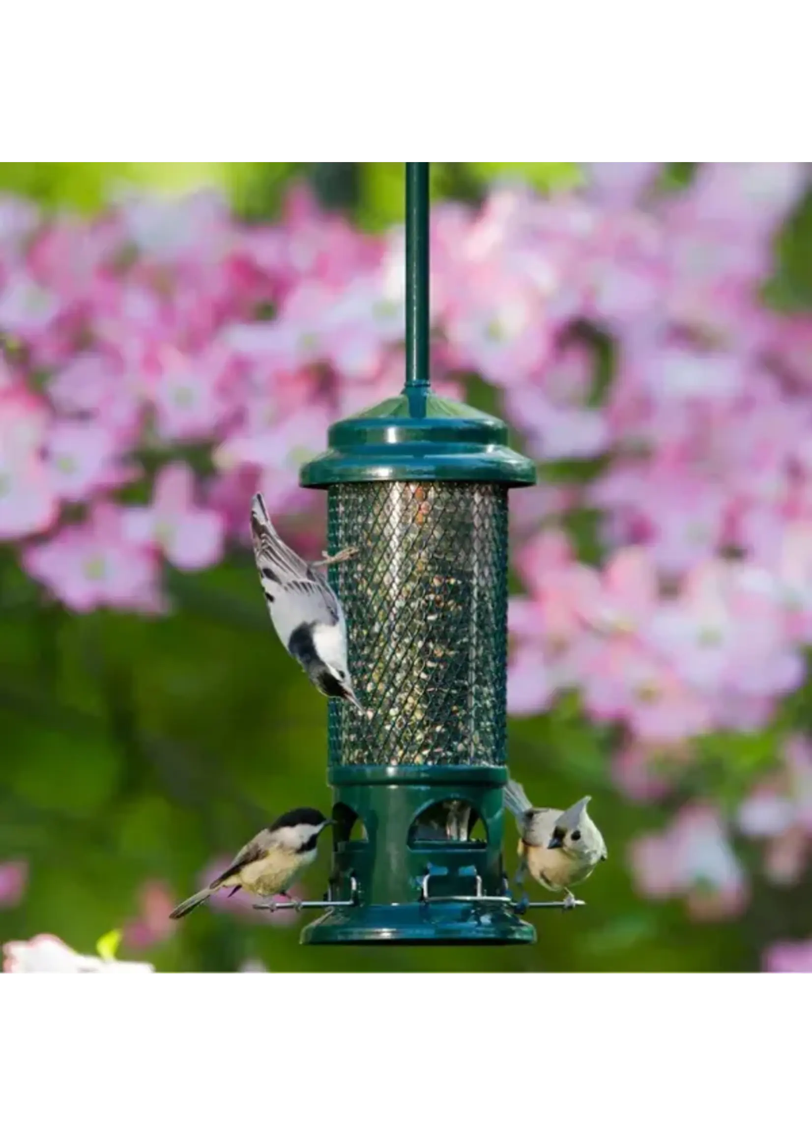 Squirrel Buster Squirrel buster mini .75l