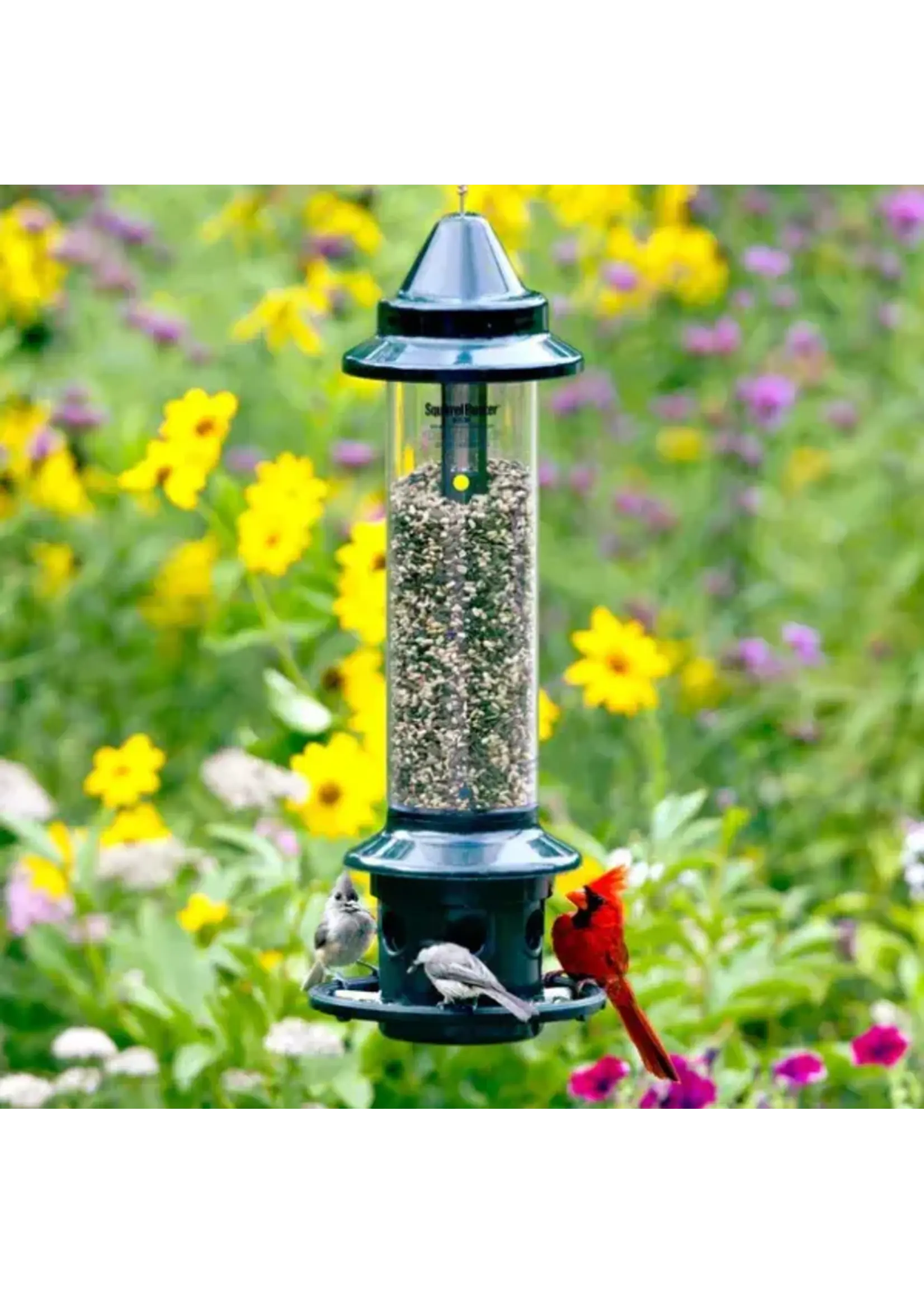 Squirrel Buster Mangeoire Oiseau Sauvage | Squirrel Buster®Plus | 3lb
