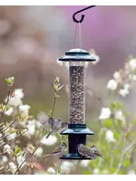 Squirrel Buster Mangeoire Oiseau Sauvage | Squirrel Buster® | Évolution