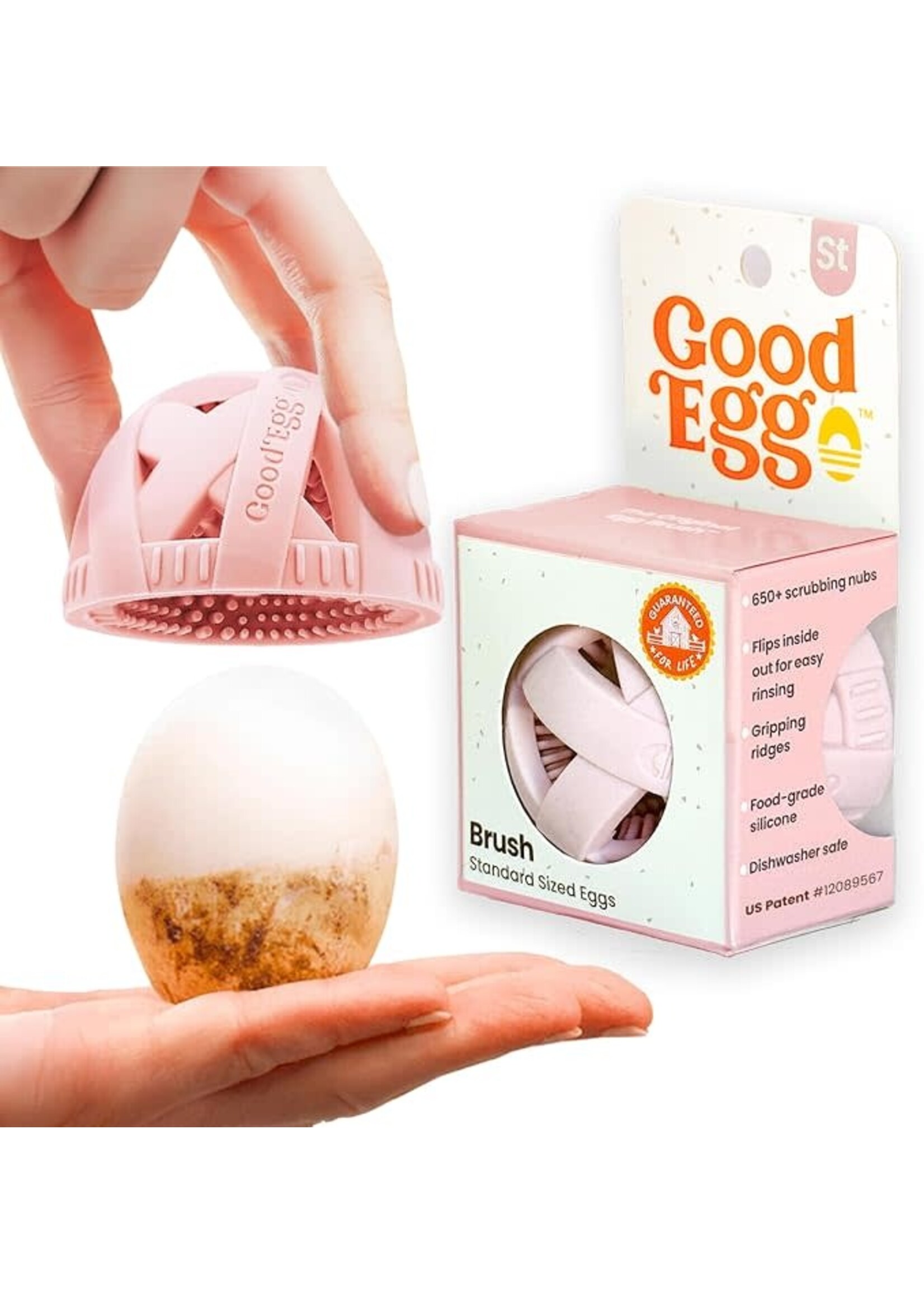 Brosse pour oeufs standard