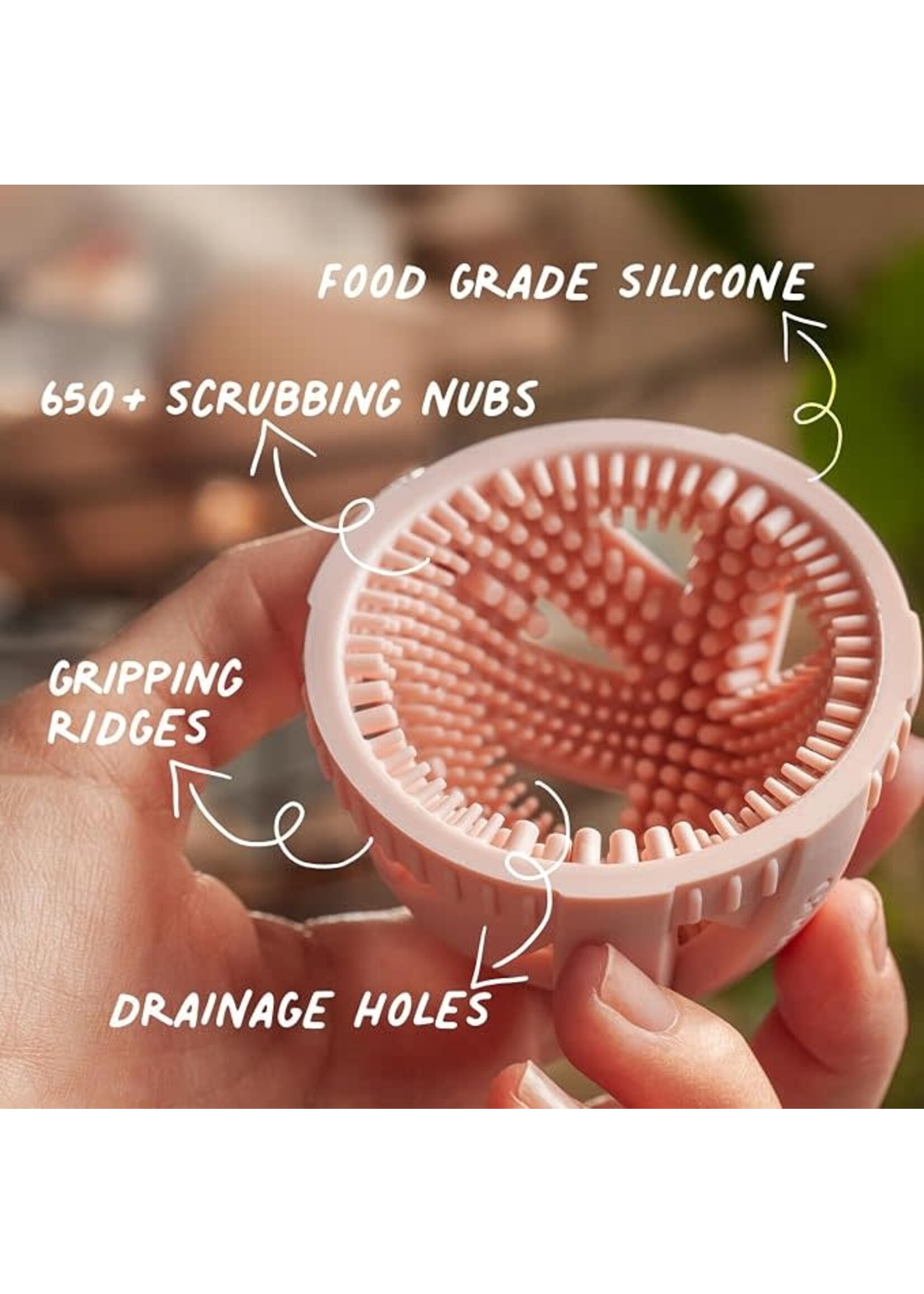 Brosse pour oeufs standard
