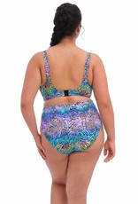 Eveden  Elomi Elomi Electric Savannah Mid Rise Bikini Brief  ES80072