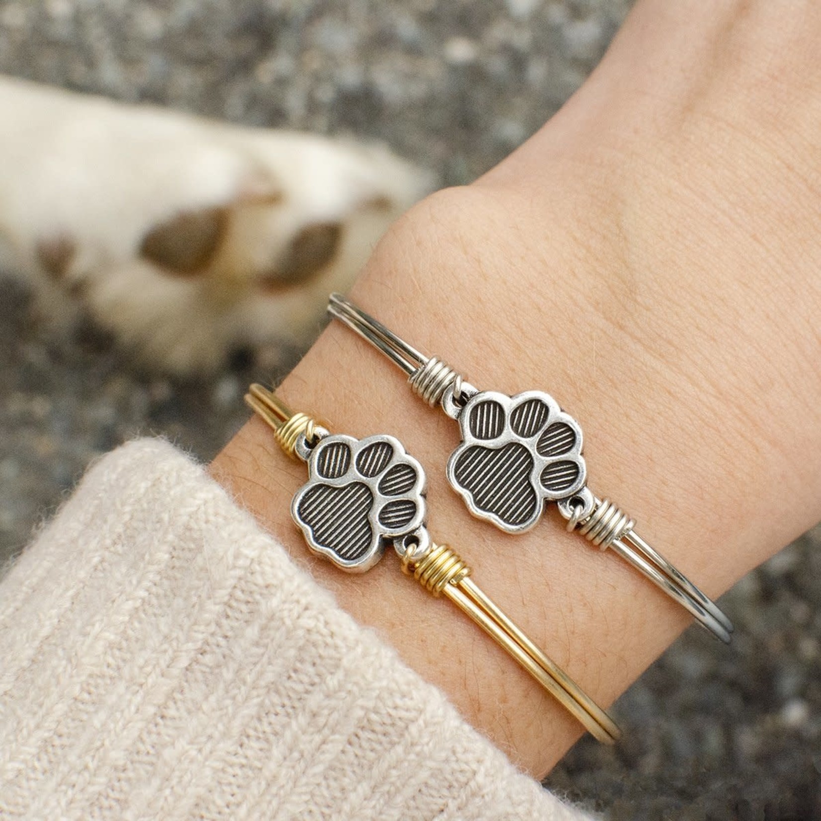 Luca+Danni Paw Print Bangle Bracelet in Brass/Regular