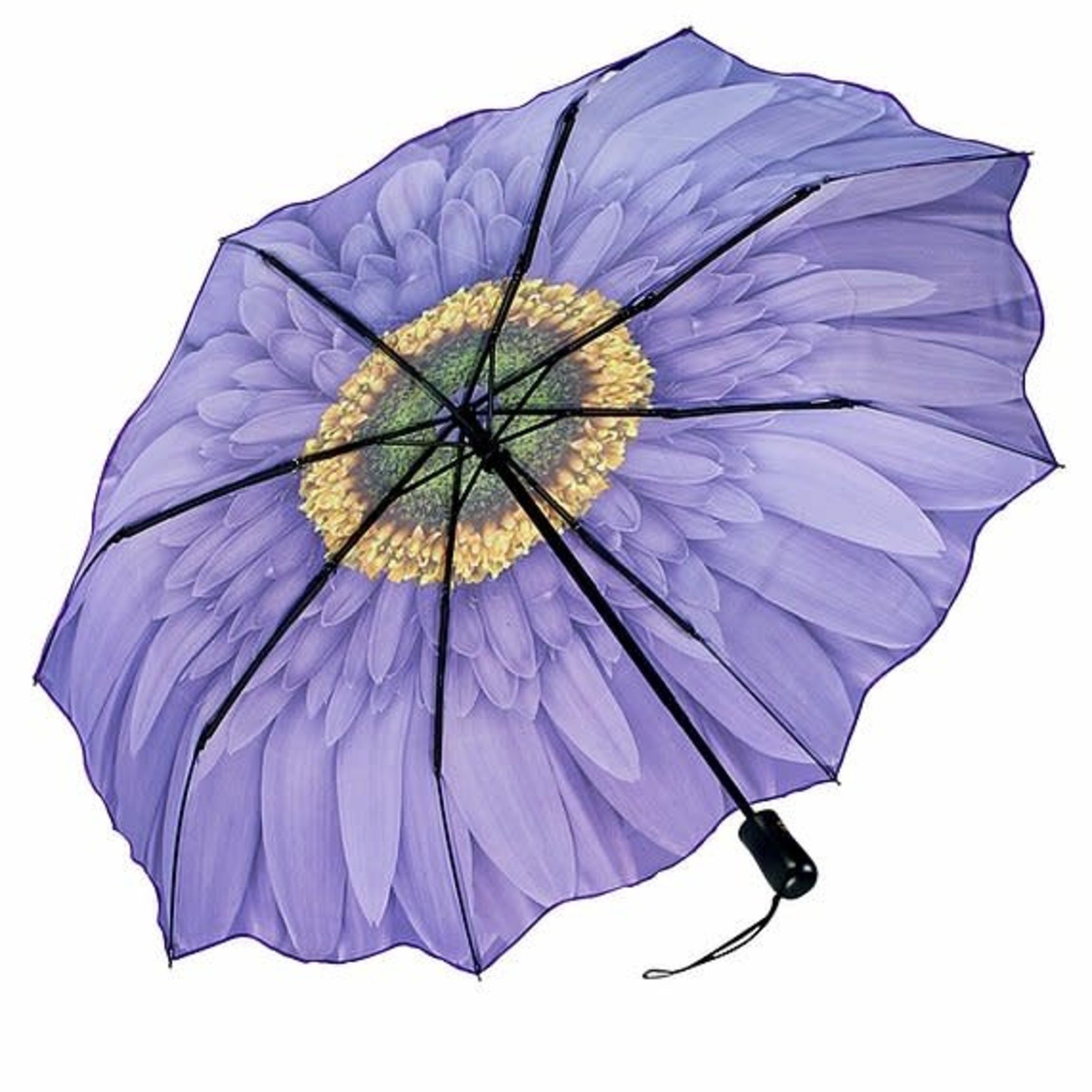 Purple (Wisteria) Daisy Folding Umbrella