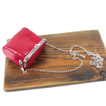 Pretty Persuasions Card Case/Money Pouch in Fuchsia