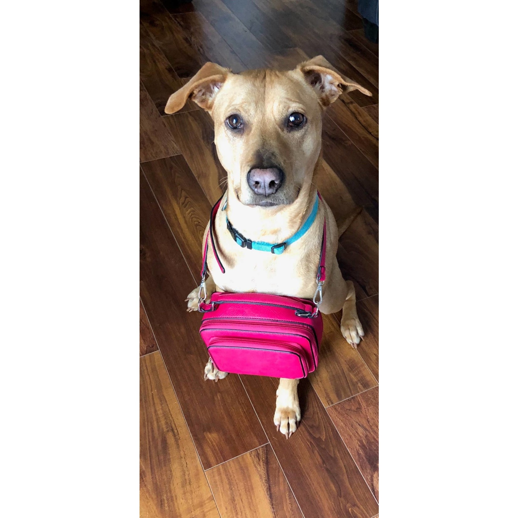 Kelsey Crossbody Satchel in Hot Pink