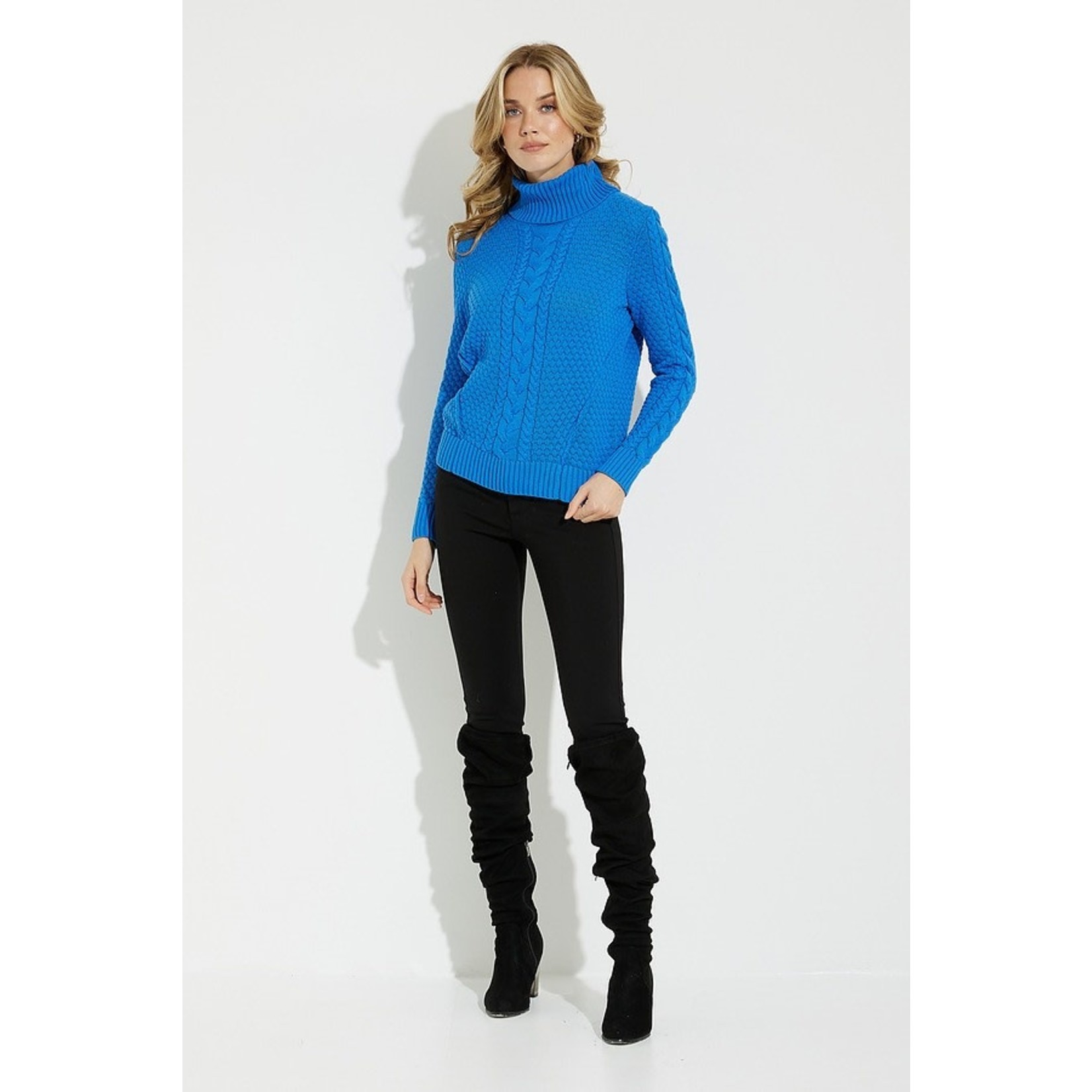 Alison Sheri Turtleneck Cable Knit Sweater in Blue