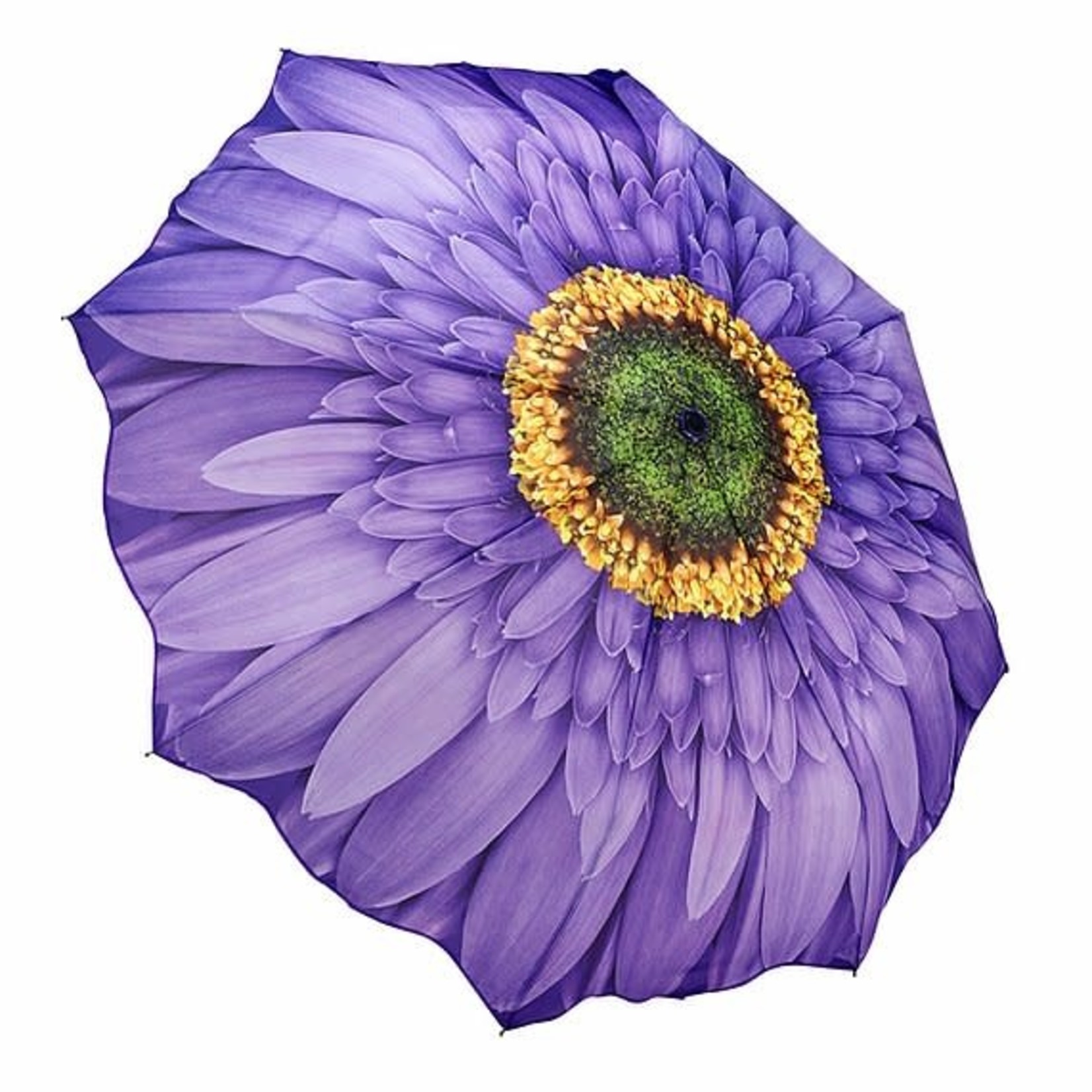 Purple (Wisteria) Daisy Folding Umbrella