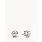 Spartina Blessed Crystal Clover Stud Earrings Sil/SLV