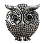 Wise Owl Magnetic Brooch