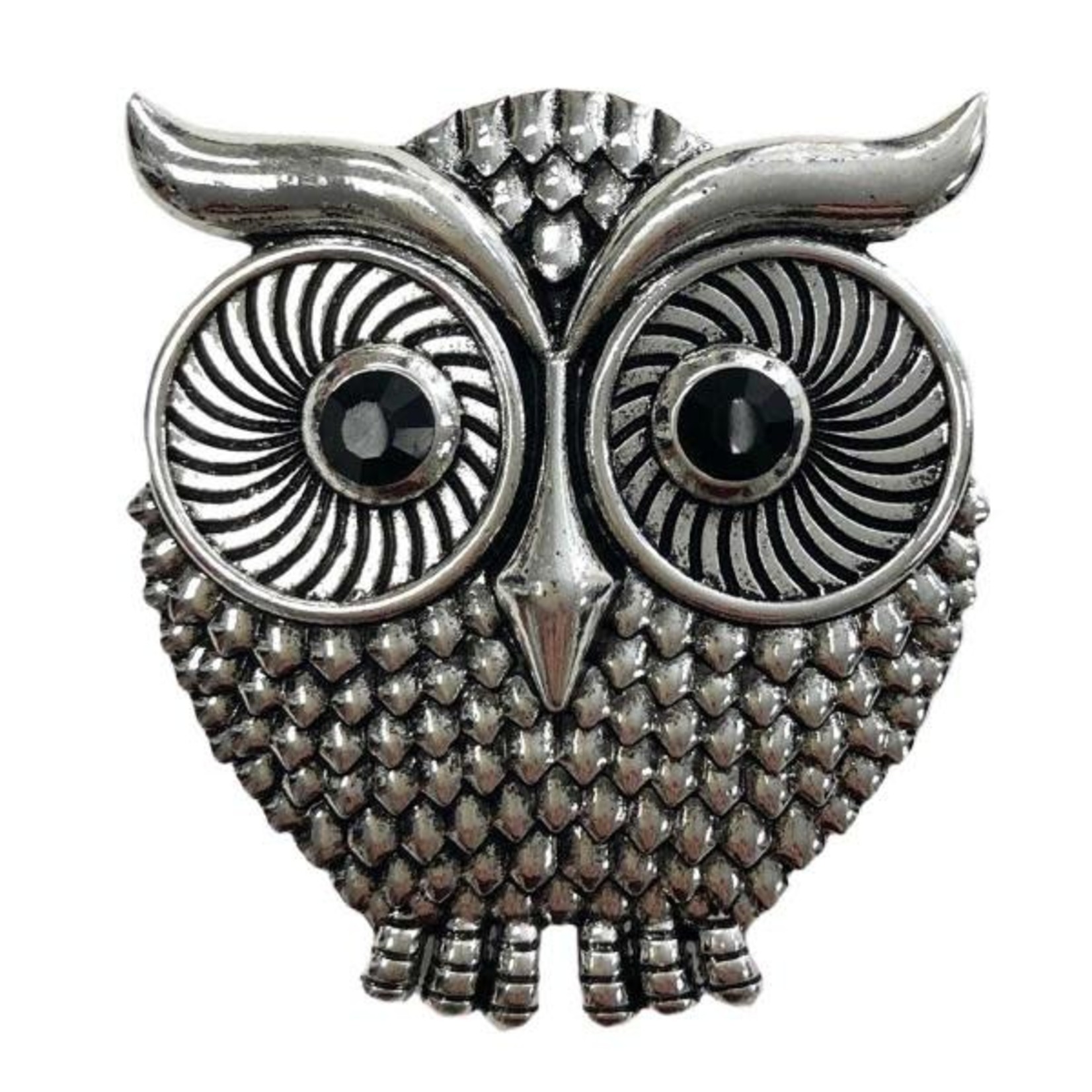 Wise Owl Magnetic Brooch