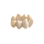 Organic Tagua Jewelry Alyssa Tagua Bracelet in Ivory