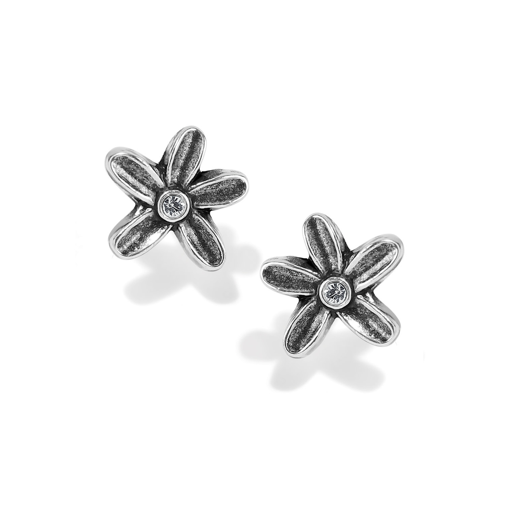 Brighton Wild Flowers Post Earrings