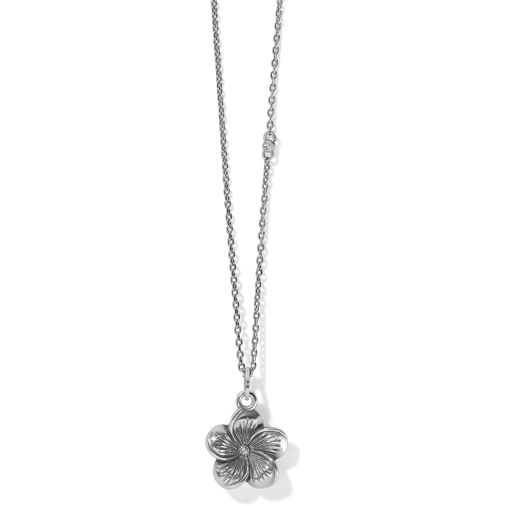 Brighton Voyage Plumeria Pet Necklace