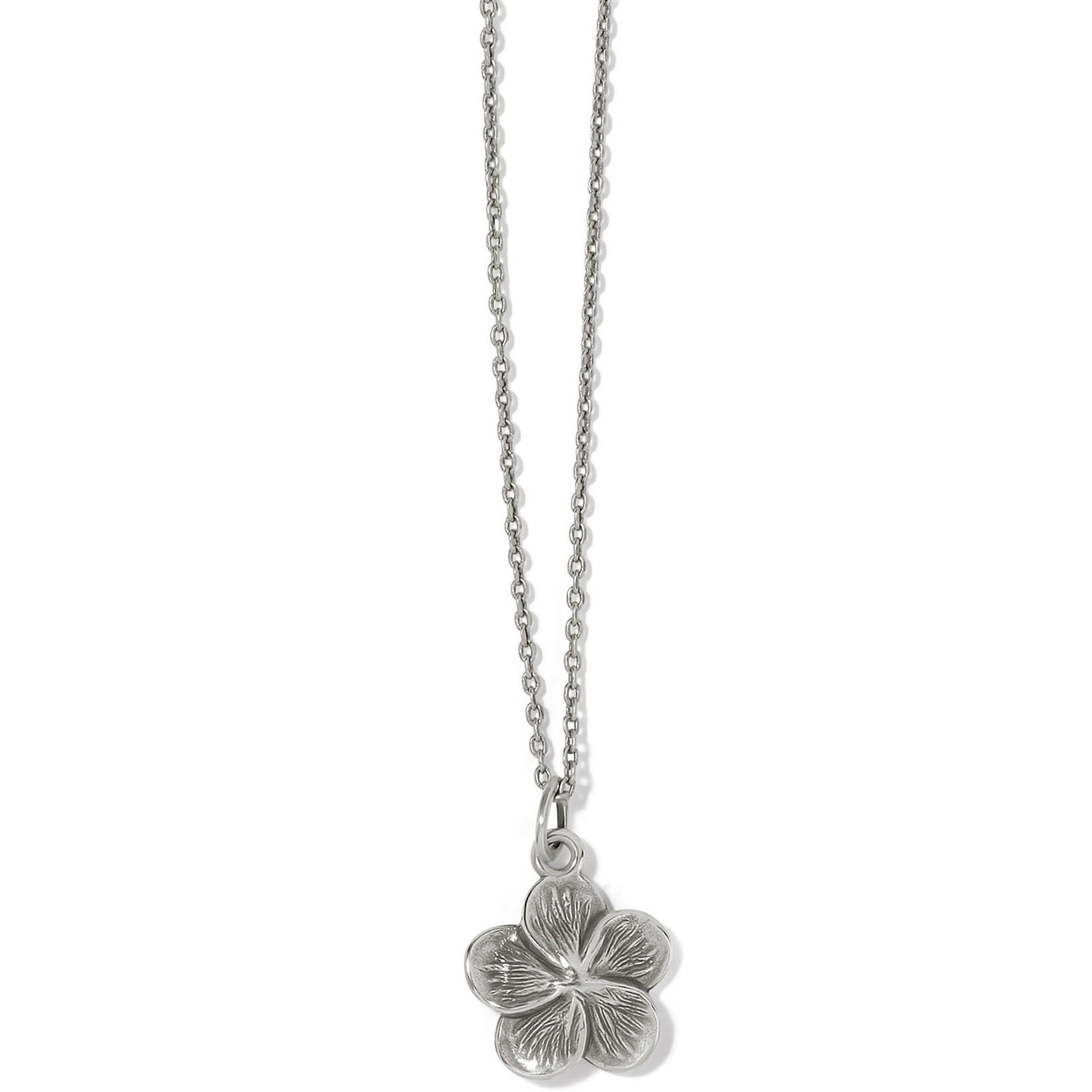 Brighton Voyage Plumeria Pet Necklace