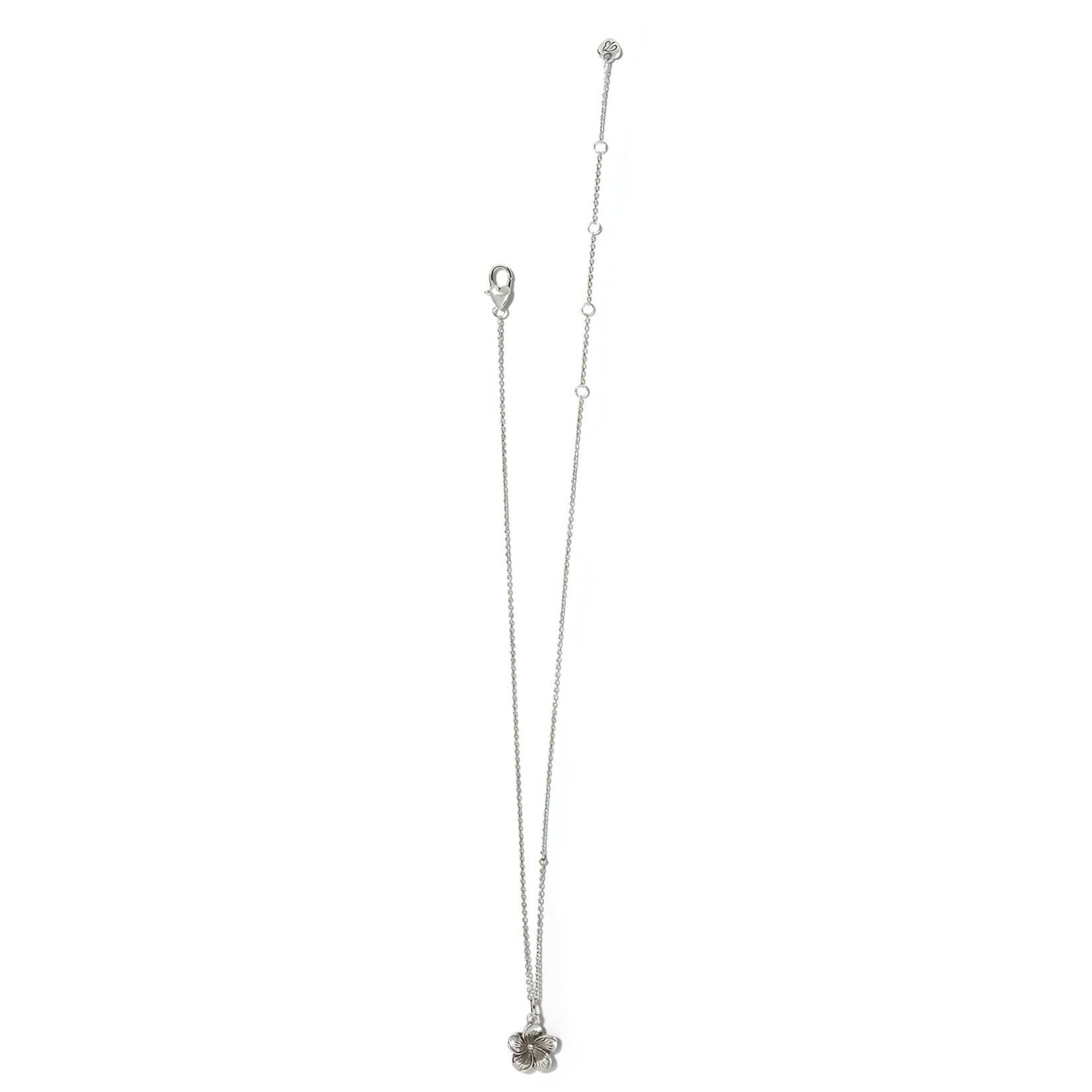 Brighton Voyage Plumeria Pet Necklace