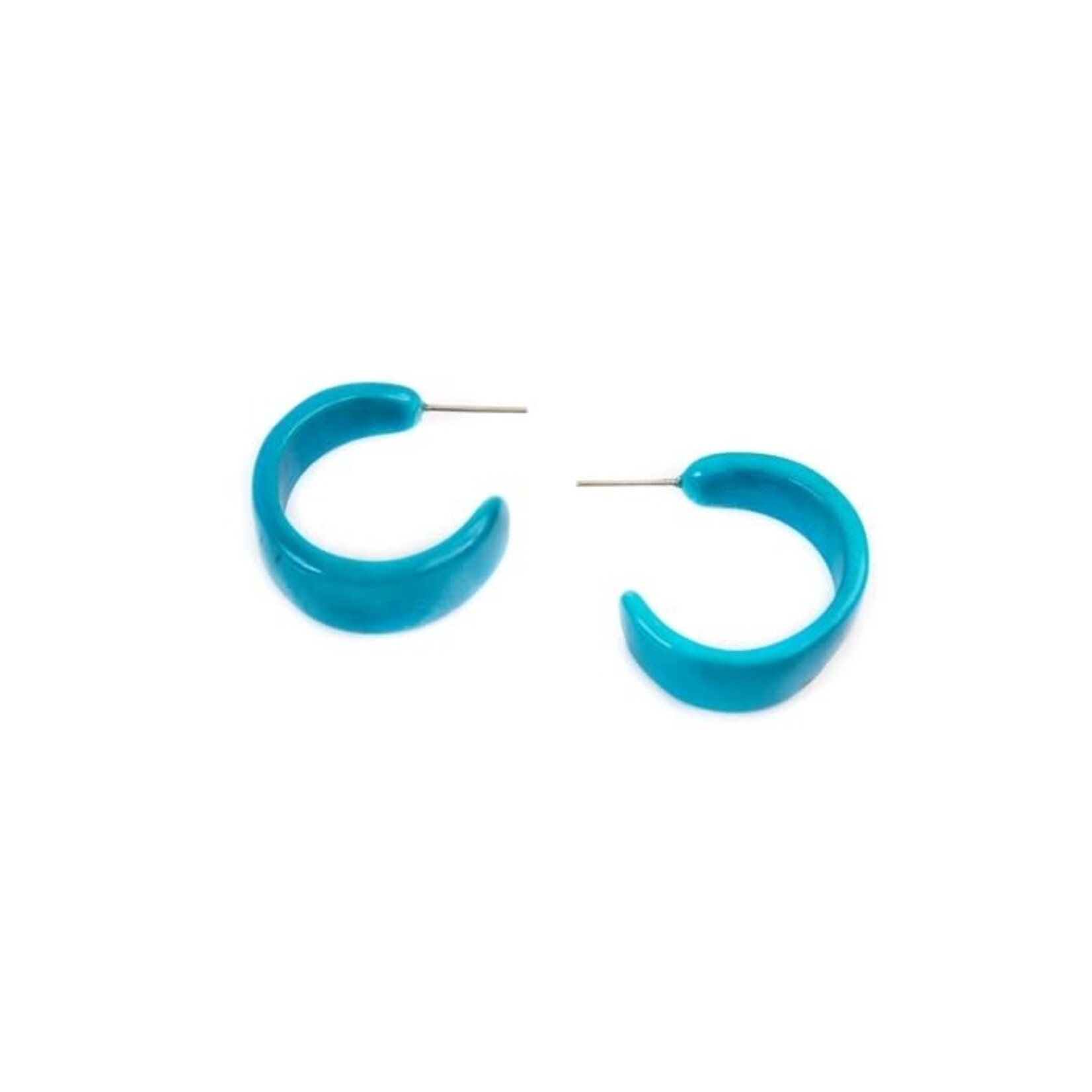 Organic Tagua Jewelry Dafne Tagua Earrings in Turquoise