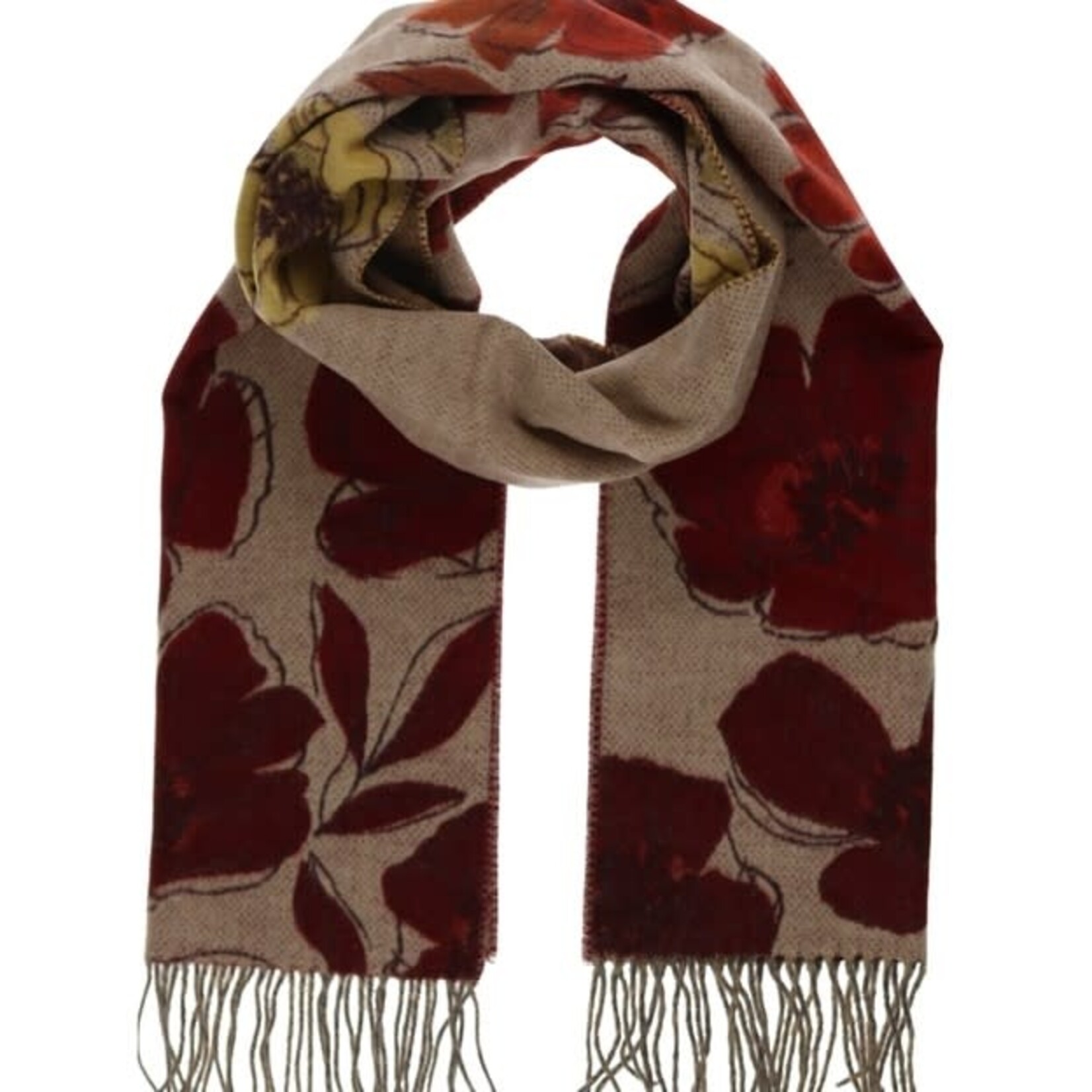 V. Fraas Sketched Petals Cashmink® Scarf in Latte