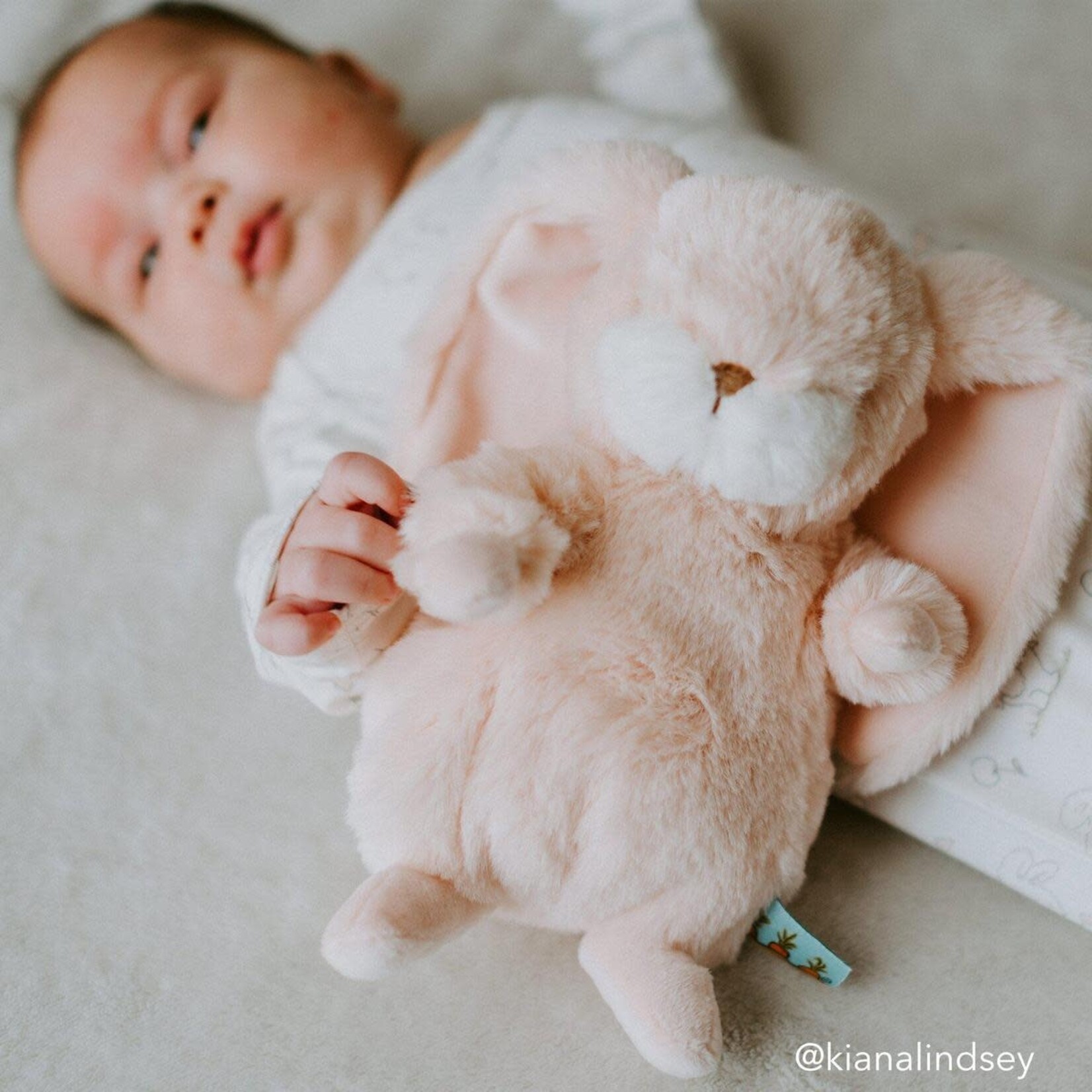 Bunnies By  Bay Tiny Nibble 8" Bunny in Pink
