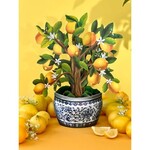Lemon Blossom Tree Pop-Up Greeting Card