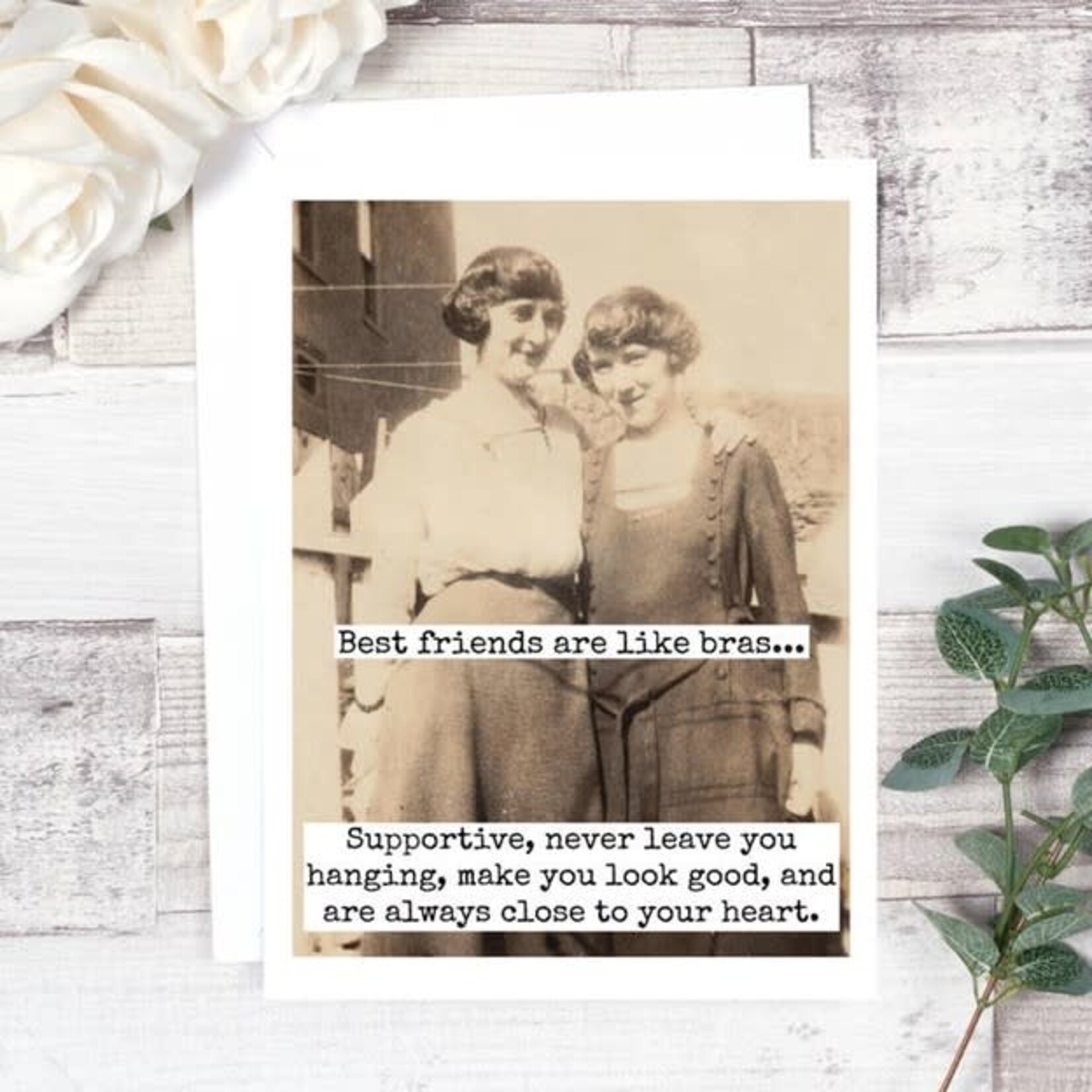 Best Friends Are Like Bras... Friendship Card