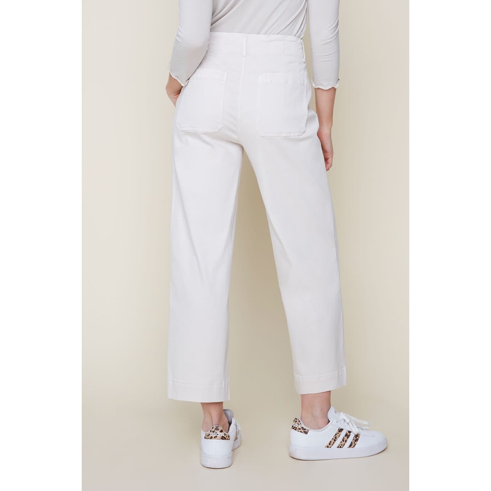 Tencel Button-Up Wide Leg Pants in Oyster