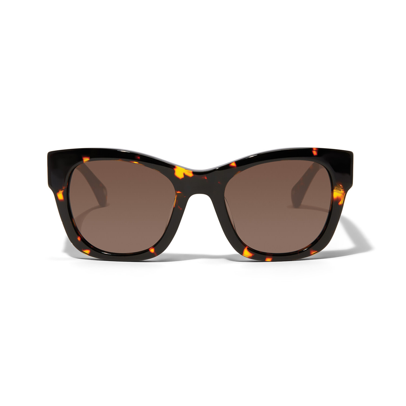 Brighton Contempo Medallion Sunglasses