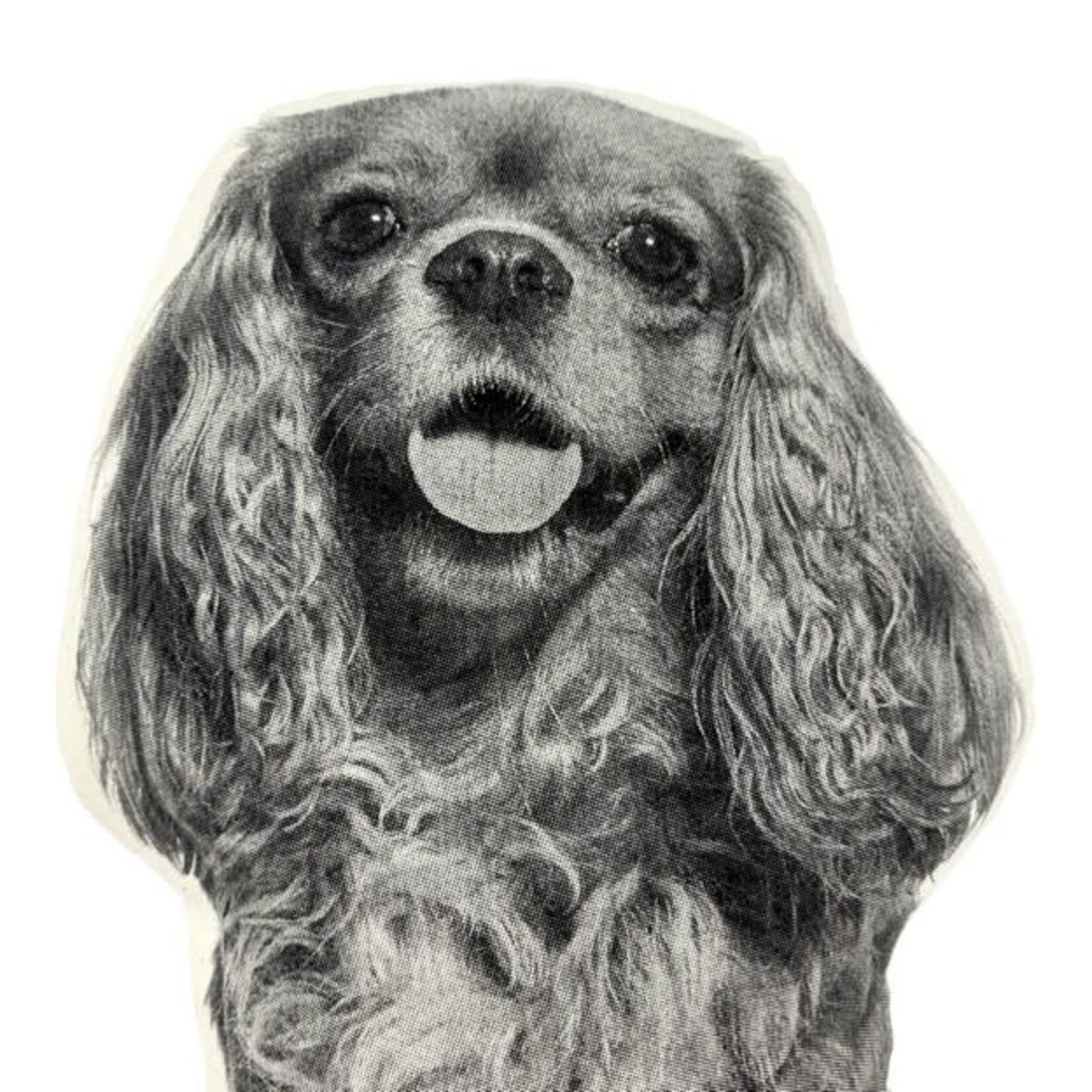 Broderpress Cavalier King Charles Spaniel Pillow 10" x 16"