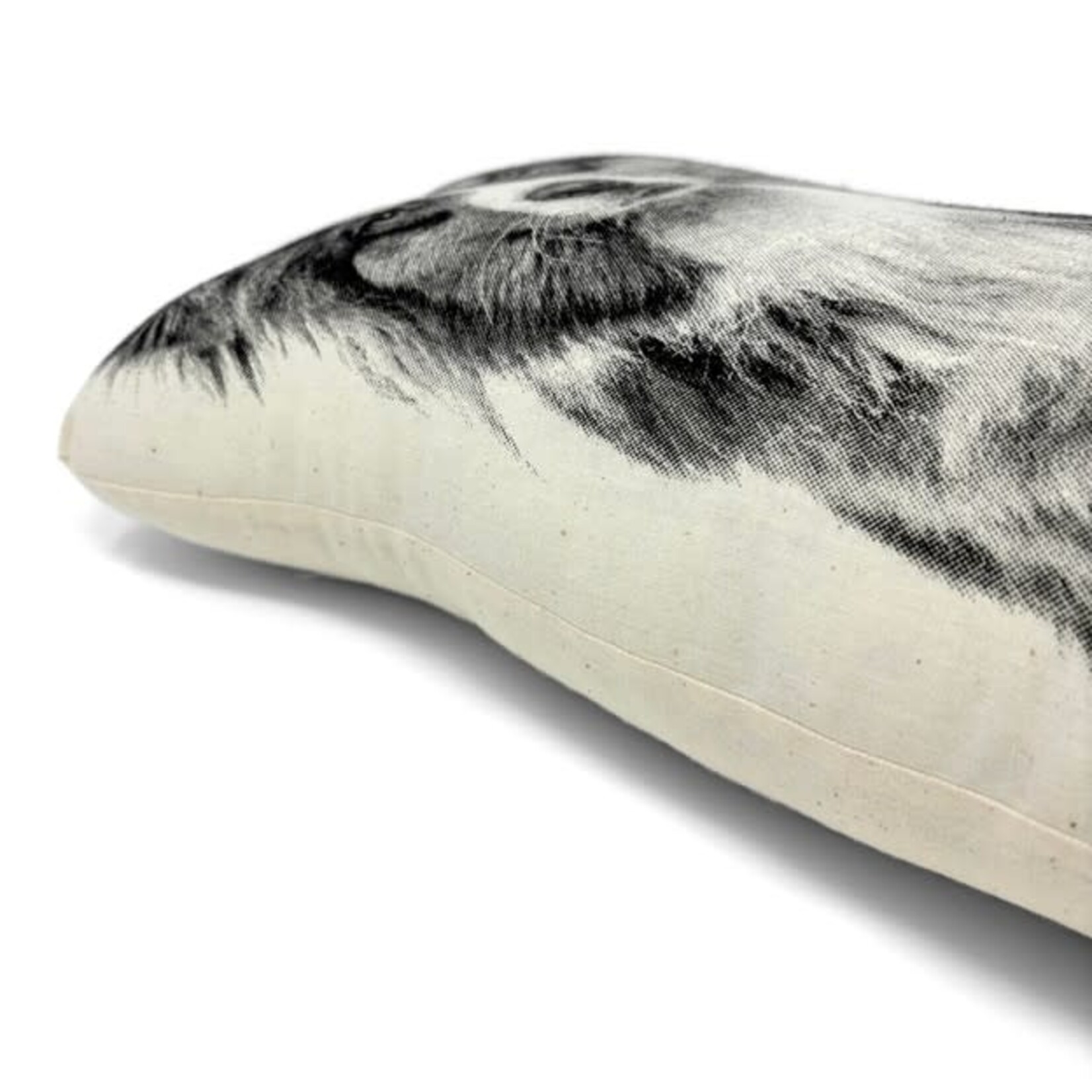 Broderpress Australian Shepherd Pillow 10" x 16"