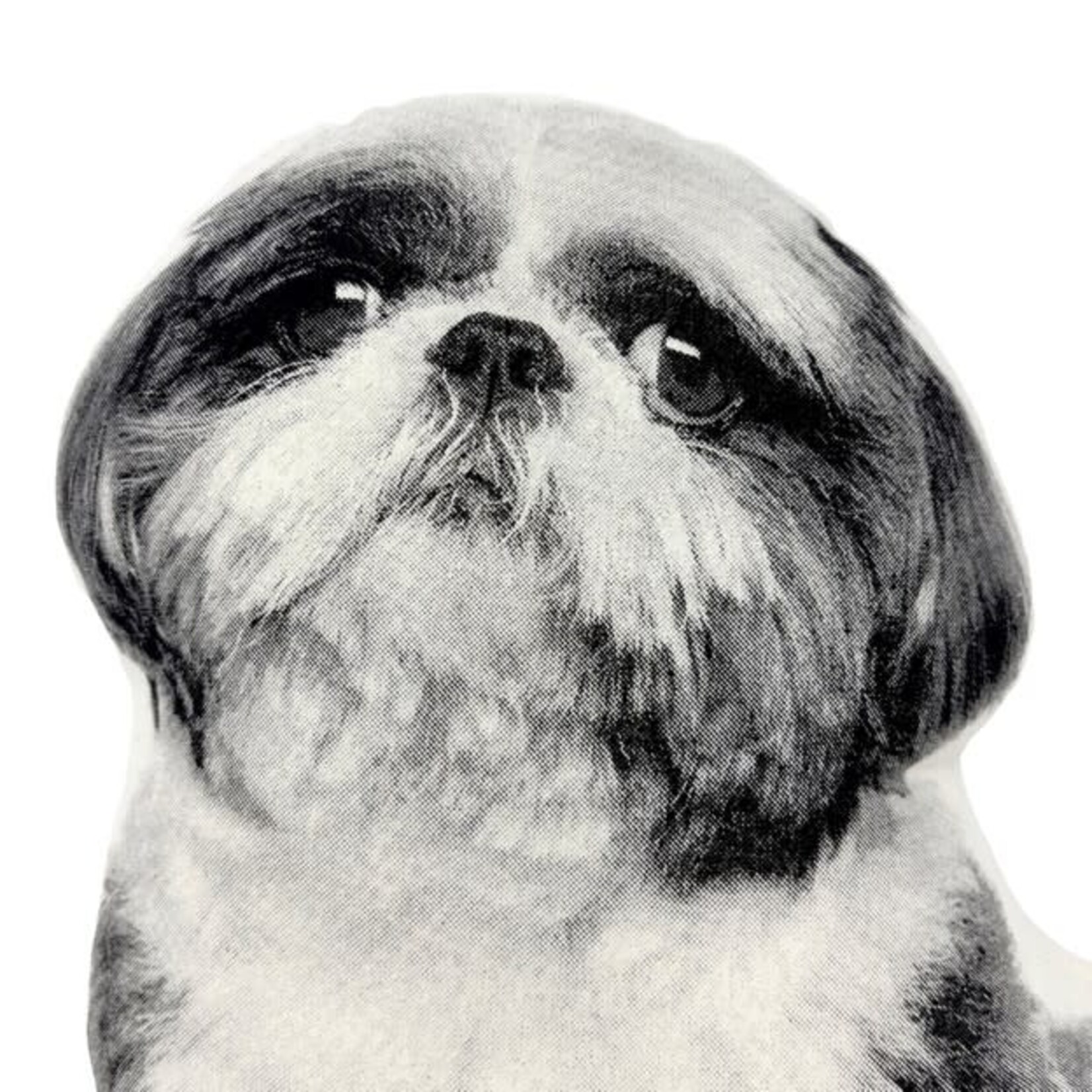 Broderpress Shih Tzu Pillow 10" x 14"