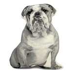 Broderpress Bulldog Pillow 11" x "13"