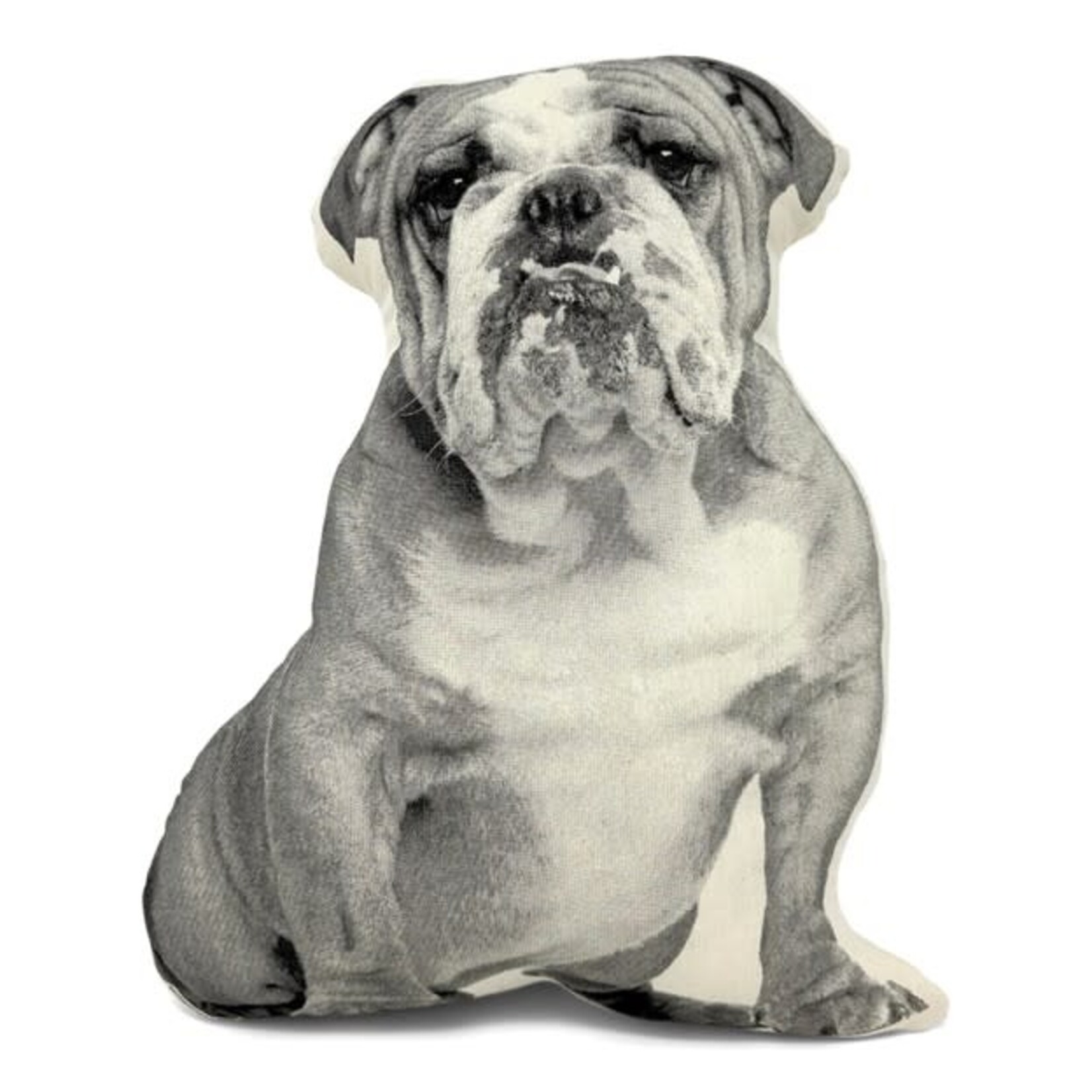 Broderpress Bulldog Pillow 11" x "13"