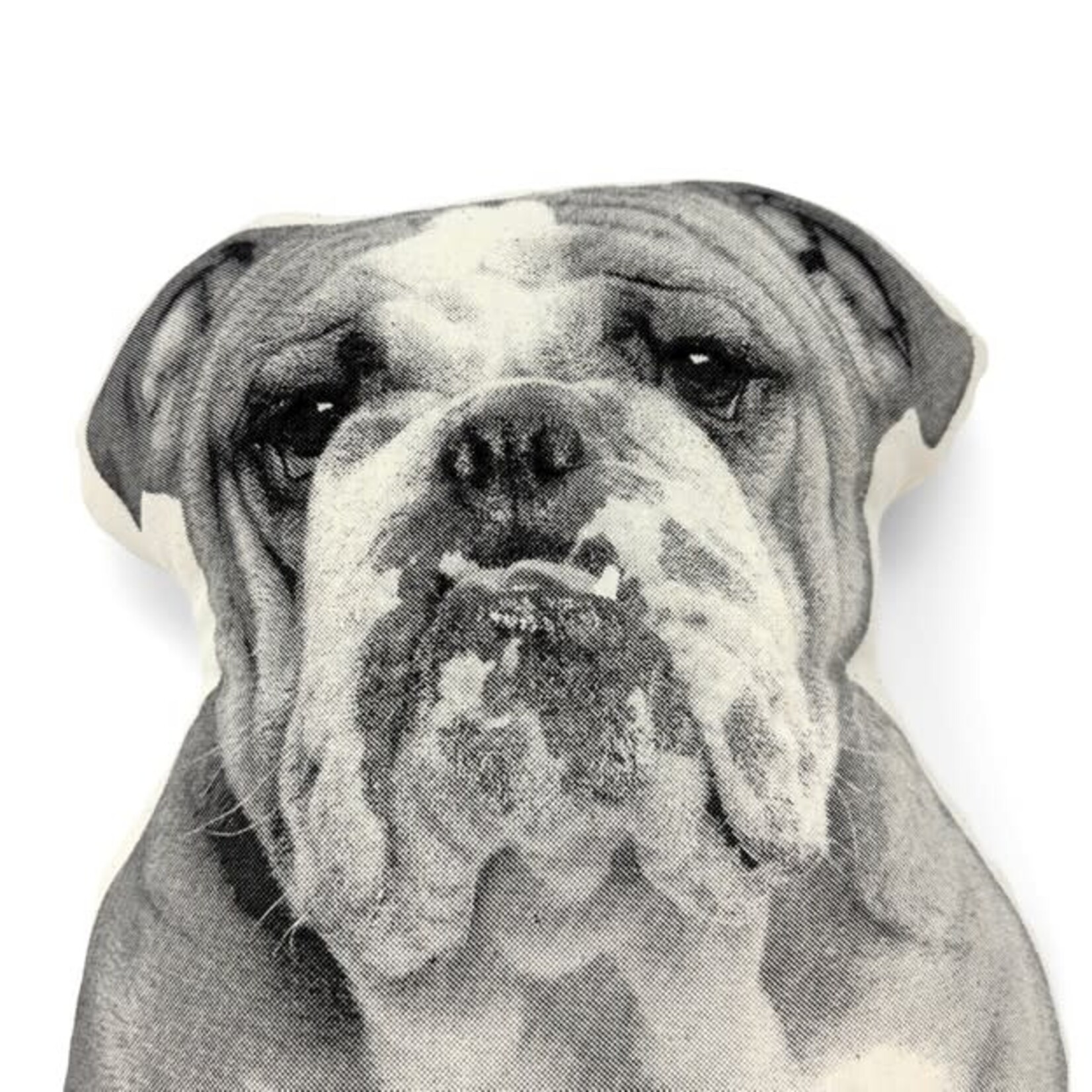 Broderpress Bulldog Pillow 11" x "13"