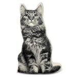 Broderpress Maine Coon Cat Pillow 11" x 17"
