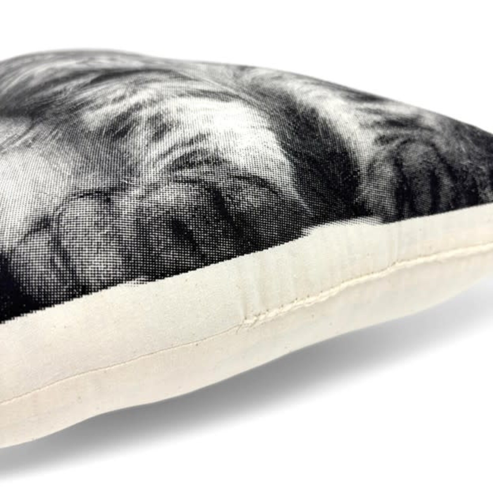 Broderpress Maine Coon Cat Pillow 11" x 17"