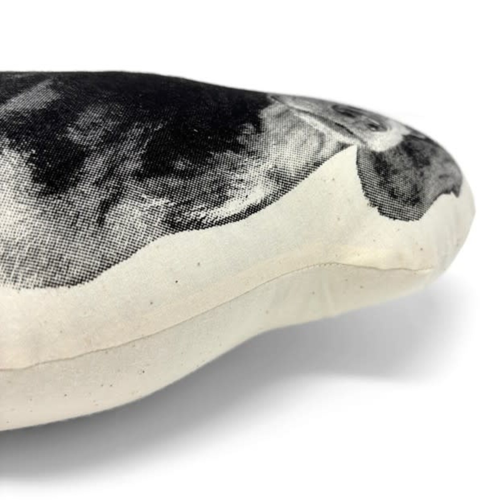 Broderpress Dachshund Pillow 13" x 11"