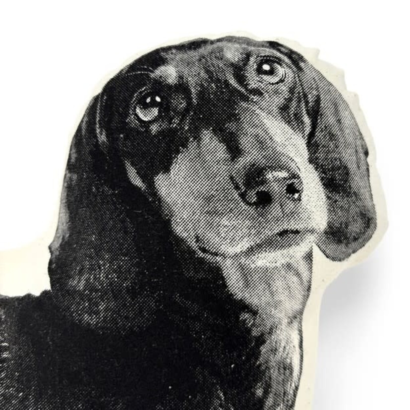 Broderpress Dachshund Pillow 13" x 11"