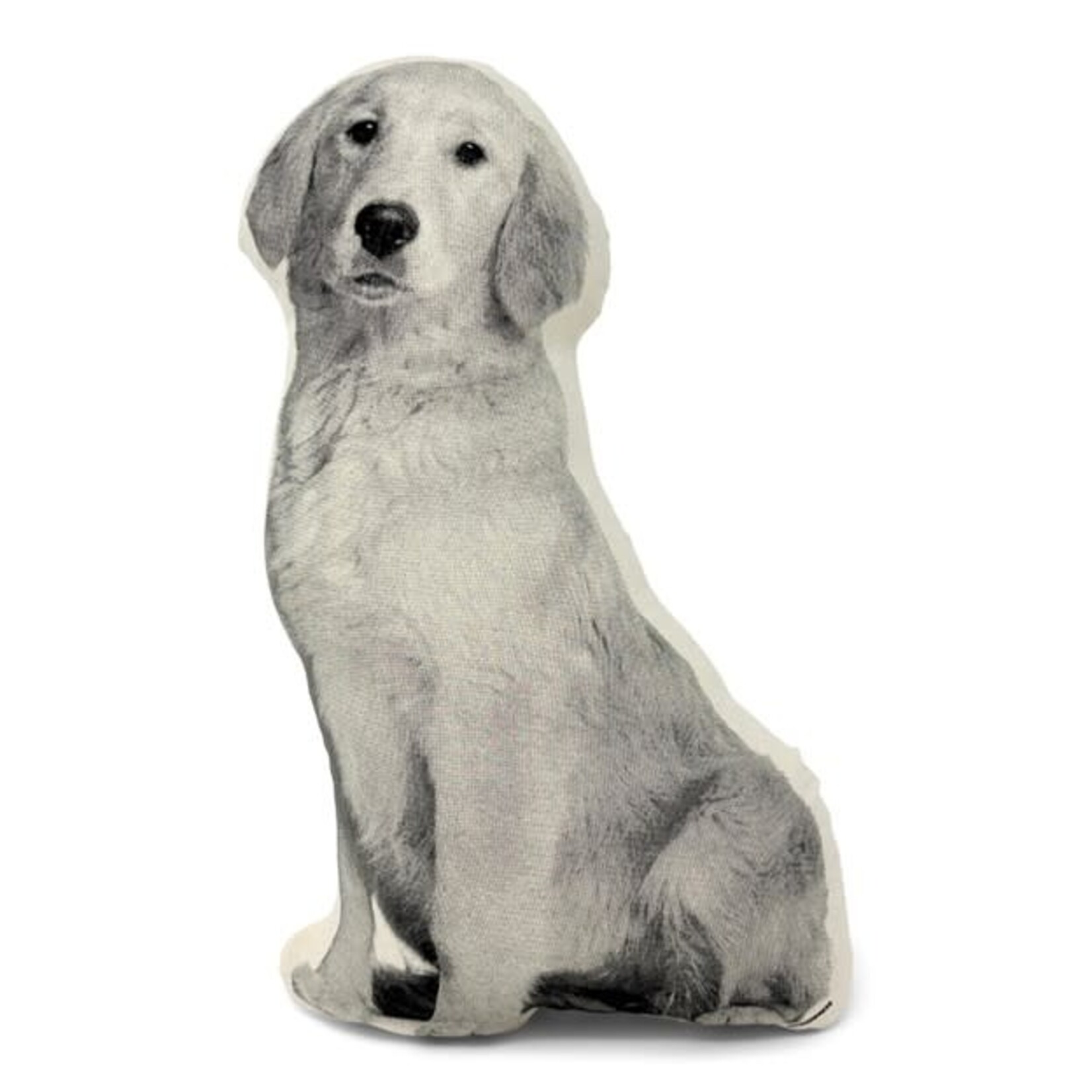 Broderpress Golden Retriever Pillow 9" x 15"