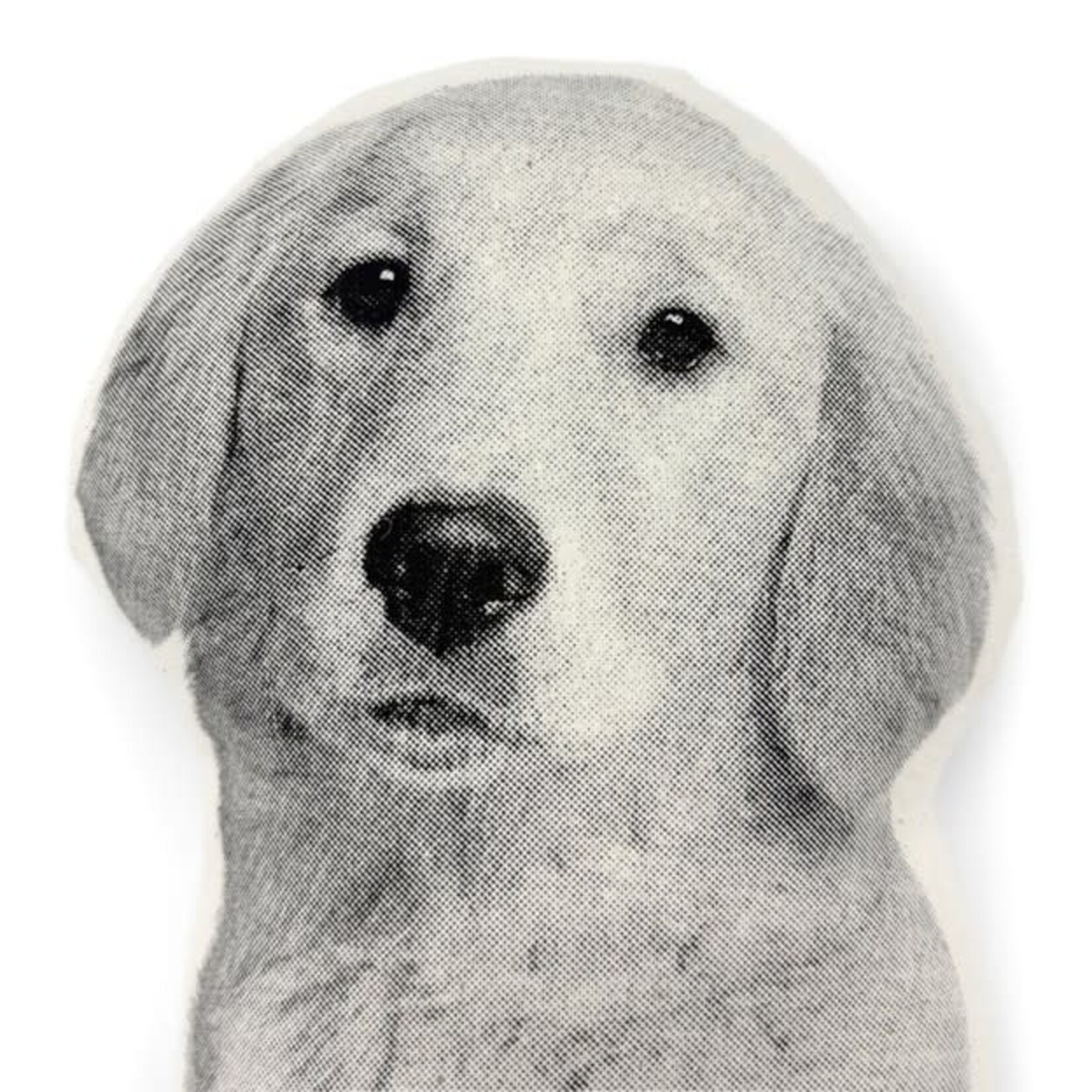 Broderpress Golden Retriever Pillow 9" x 15"