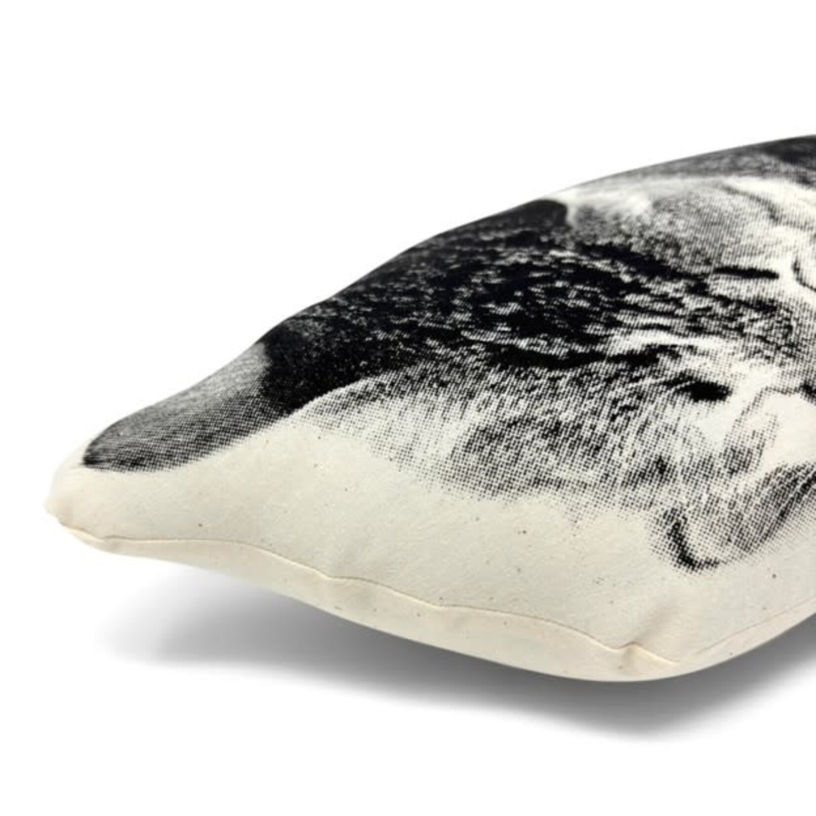 Broderpress Sleeping Cat Pillow 16" x 7"