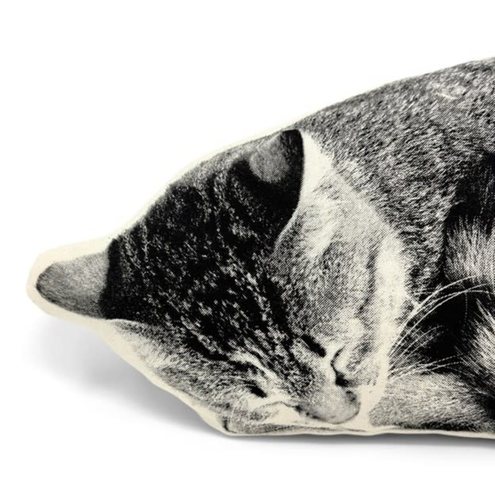 Broderpress Sleeping Cat Pillow 16" x 7"
