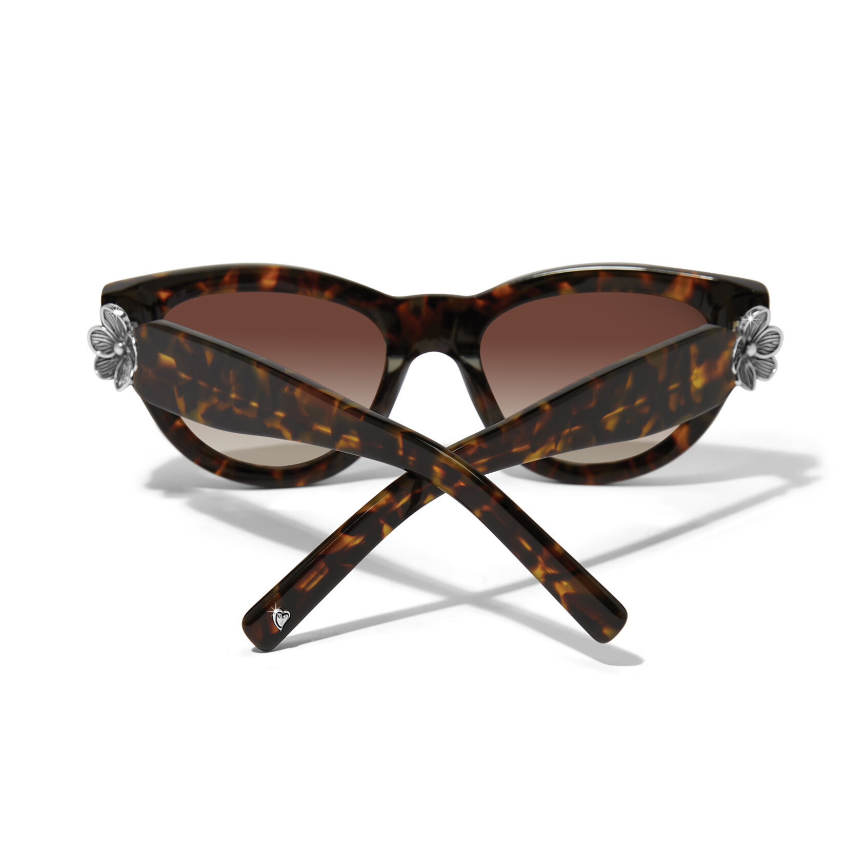 Brighton Everbloom Sunglasses