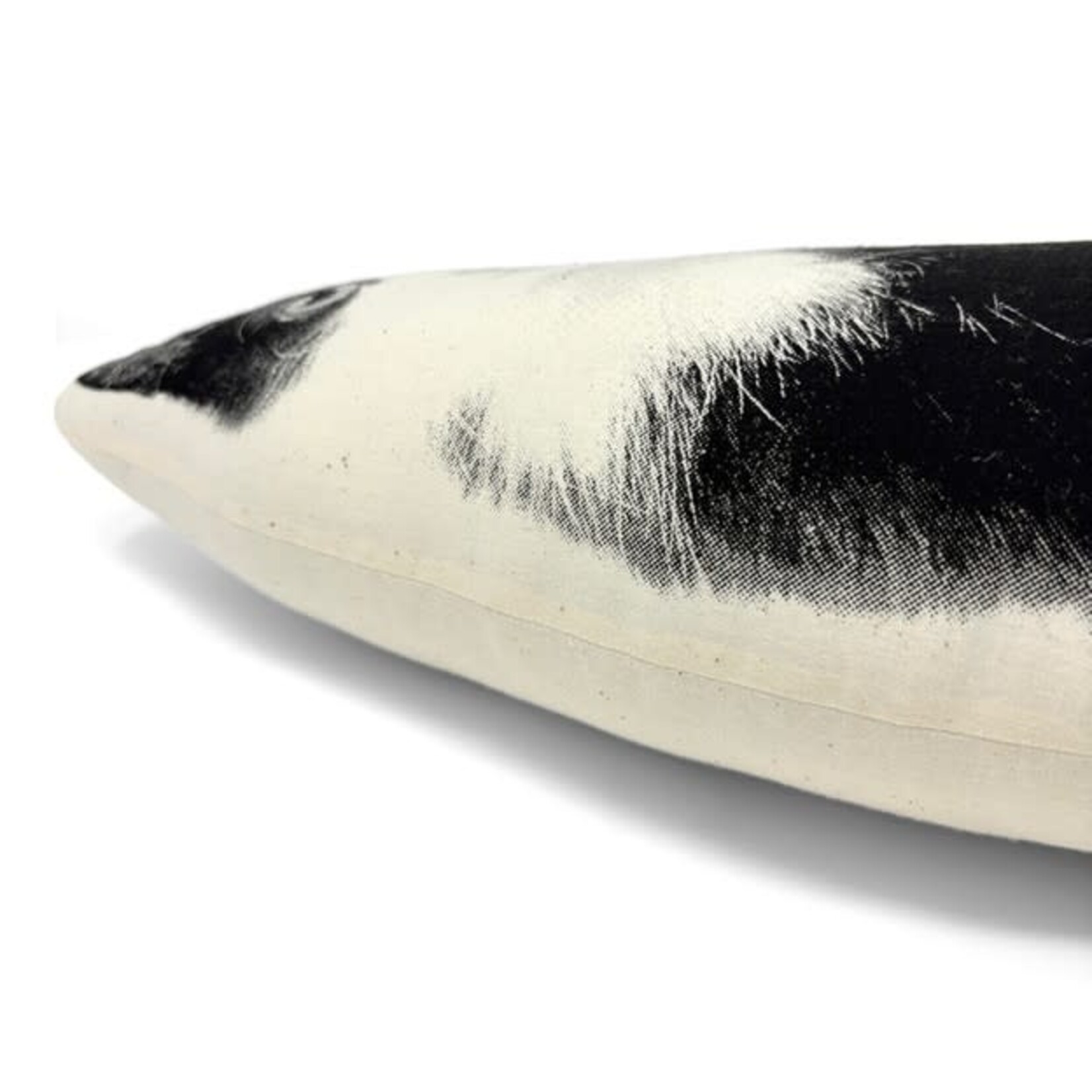 Broderpress Black & White Kitten Pillow 9"x15"