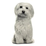 Broderpress Maltese Pillow 10"x17"