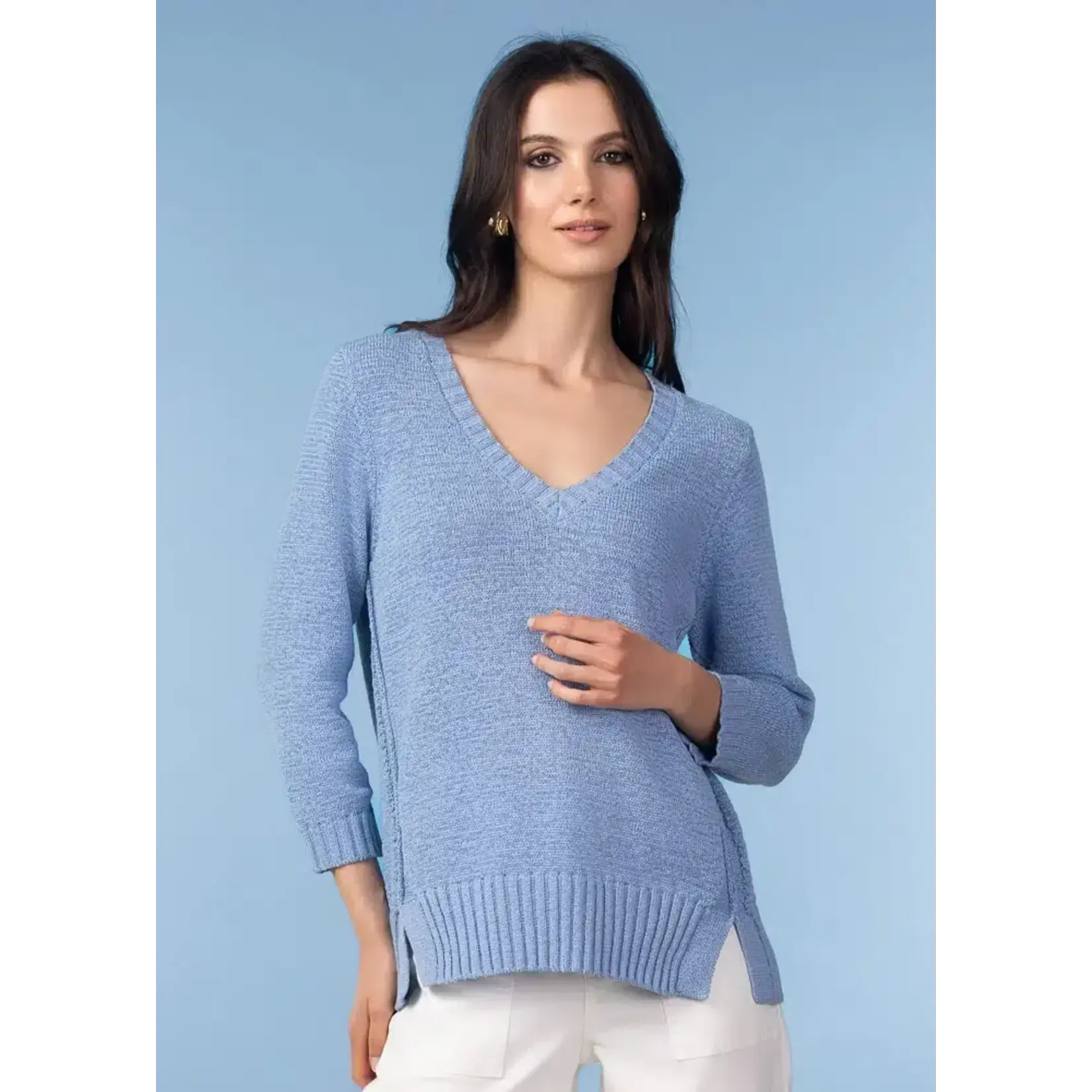 Alison Sheri Knit V-Neck Sweater in Blue