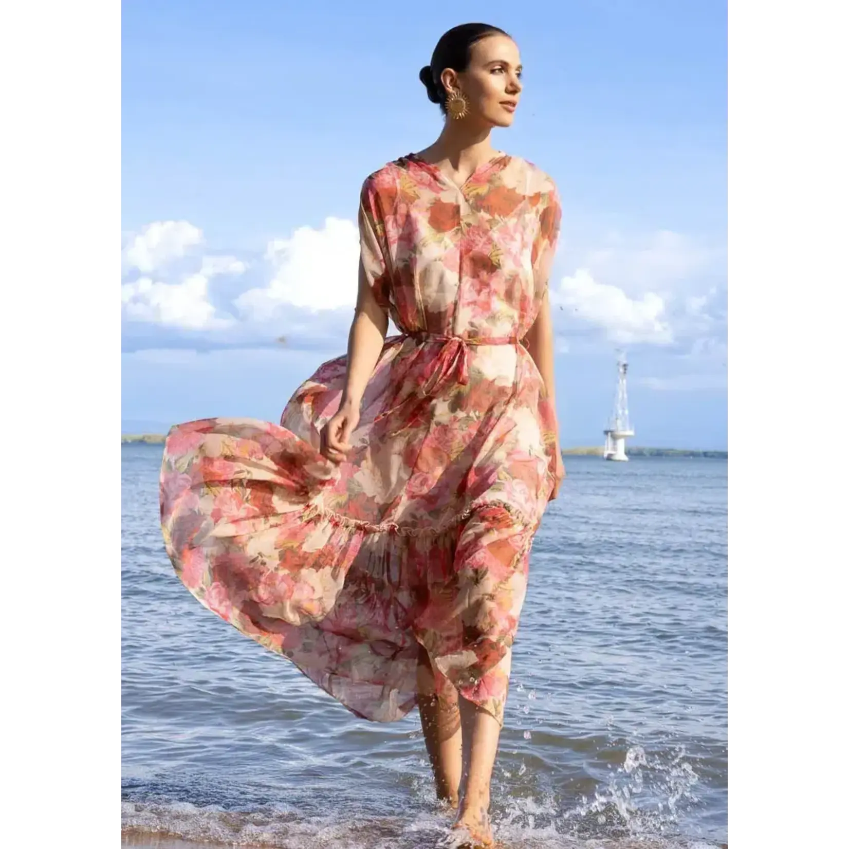 Alison Sheri Sheer Roses Short Slv Dress