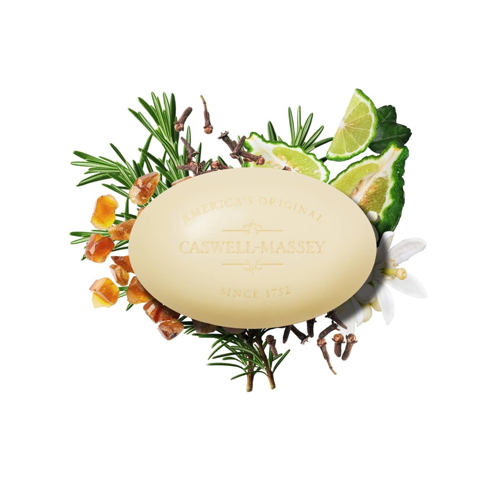 Caswell-Massey Number Six Bar Soap